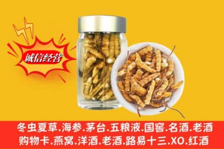 漳州漳浦县回收散虫草