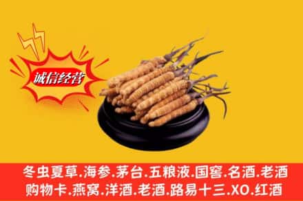 漳州漳浦县求购回收虫草多少钱每克